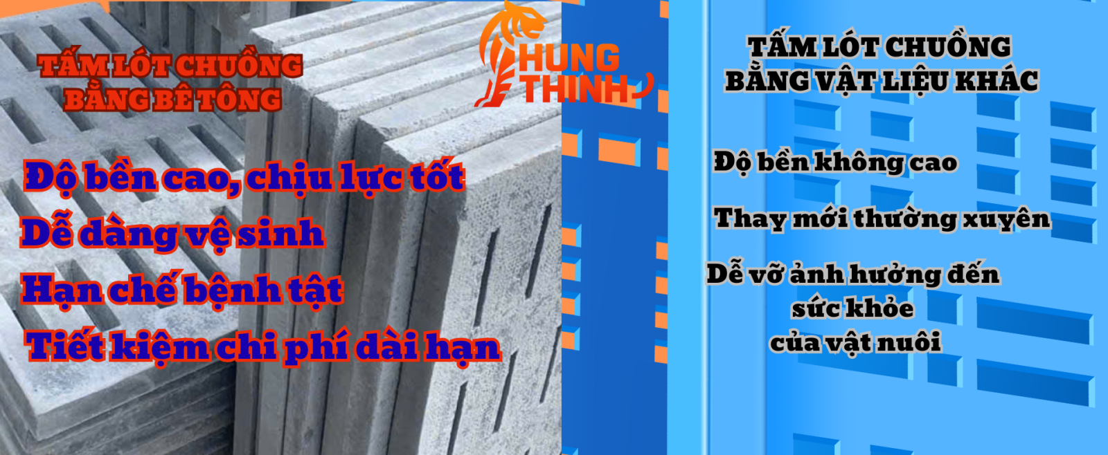 đan heo bê tông