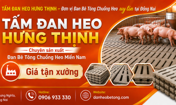 Báo Giá Đan Bê Tông Chuồng Heo Đồng Nai, Bình Dương, Long An Mới Nhất