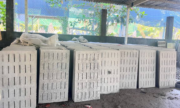 Đan Bê Tông Sàn Chuồng Trại: Giải Pháp Cho Trang Trại Chăn Nuôi