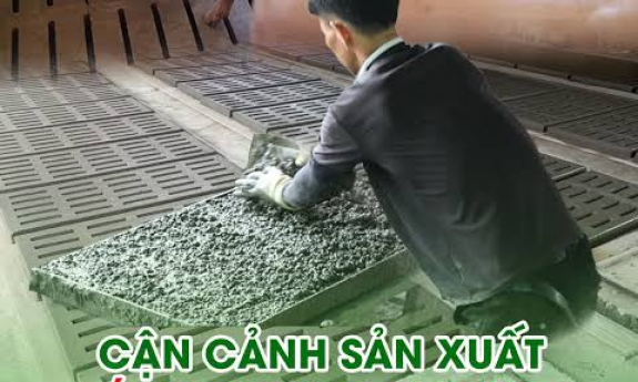 Đan Heo Bê Tông Đúc Sẵn: Ưu Điểm Khi Xây Dựng Chuồng Trại