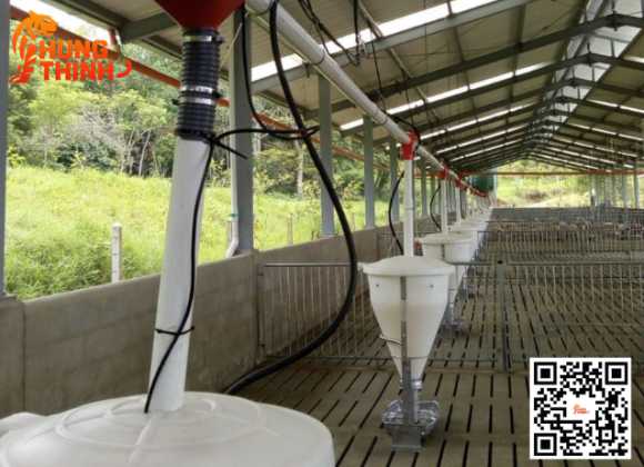 Tấm đan bê tông chuồng heo