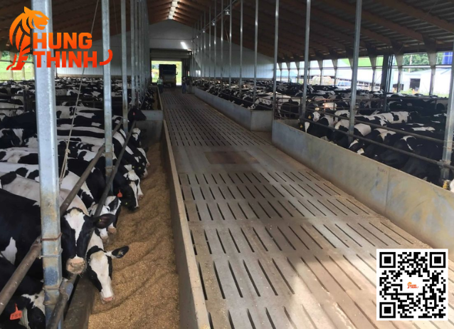 Tấm đan bê tông lót chuồng bò