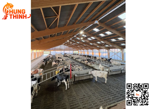 Kinh Nghiệm Chọn Đan Bê Tông Chuồng Heo Cho Trang Trại Miền Nam Bền, Chịu Lực Cao