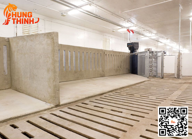 Kinh Nghiệm Chọn Đan Bê Tông Chuồng Heo Cho Trang Trại Miền Nam Bền, Chịu Lực Cao