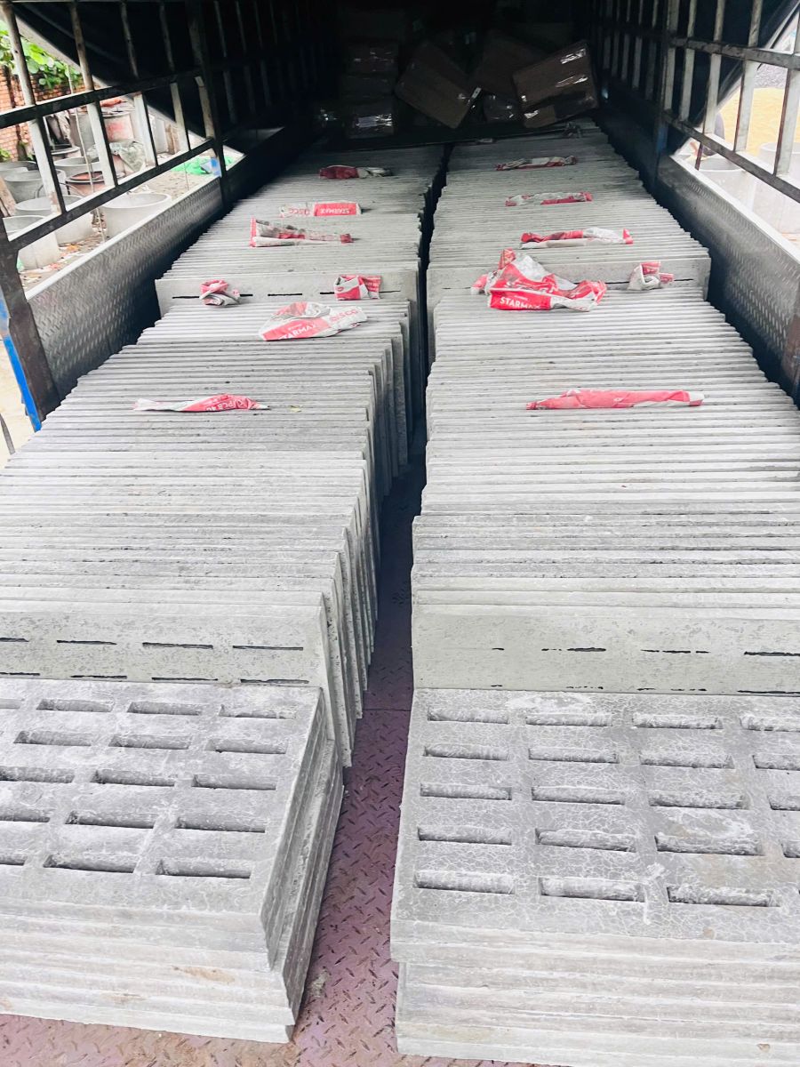 Đan Bê Tông Cho Chuồng Heo Công Nghiệp