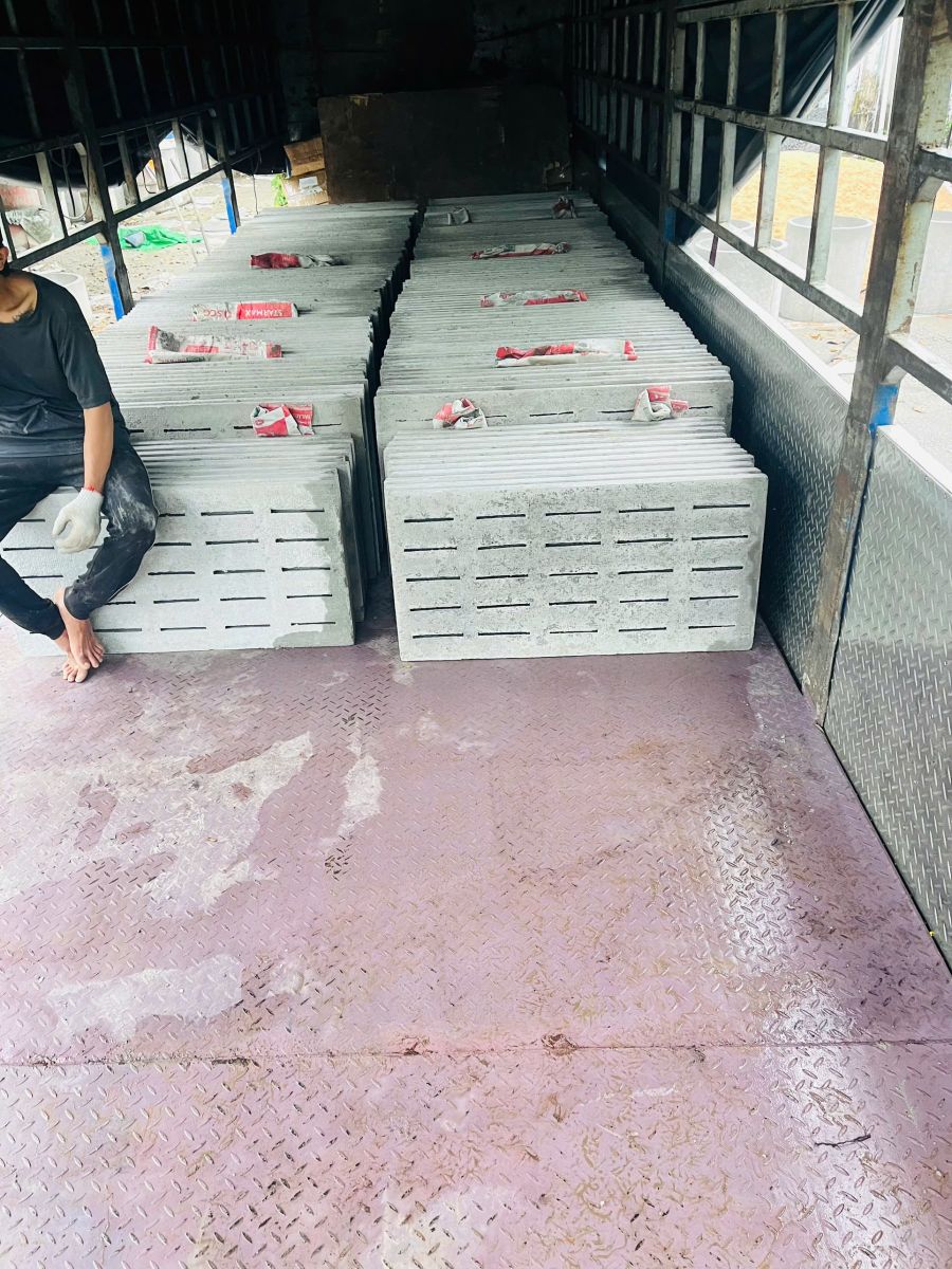 Sàn Đan Bê Tông Chuồng Heo